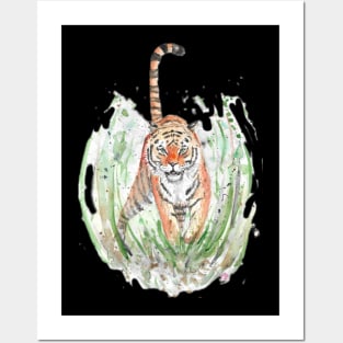 Tiger Charging painting Posters and Art